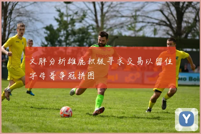 文胖分析雄鹿积极寻求交易以留住字母哥争冠拼图