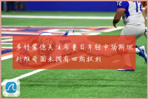 多特蒙德关注布鲁日年轻中场斯坦科维奇国米拥有回购权利