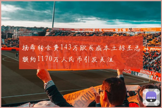 杨希转会费143万欧或成本土标王总额约1170万人民币引发关注